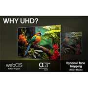 LG 86'' UHD AI UA74 4K Smart TV 2025, LG TV-skjerm med en AI Magic Remote i forgrunnen. AI-knappen fremheves og en snakkeboble viser tekst, og anbefaler en film jeg liker. På skjermen ser vi brukerikonet E, som viser hvordan AI Voice ID i, 86UA74006LB, thumbnail 9