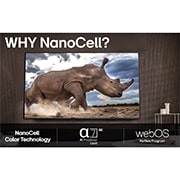 LG 50'' NanoCell AI NANO82 4K Smart TV 2025, WHY NanoCell?, 50NANO82A6B, thumbnail 9