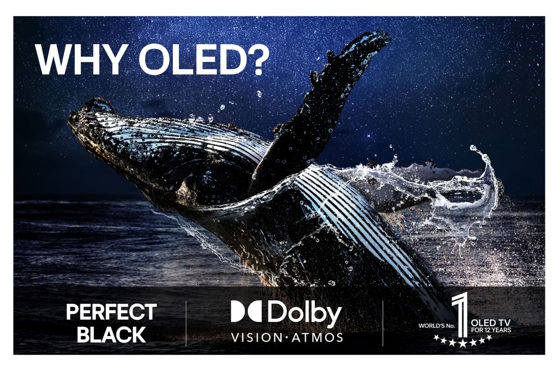 LG 77'' OLED evo AI C5 Pro 4K Smart TV 2025, OLED77C5ELB, thumbnail 8