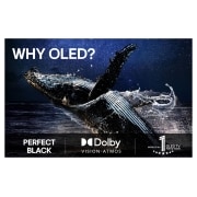 LG 77'' OLED evo AI C5 Pro 4K Smart TV 2025, OLED77C5ELB, thumbnail 8