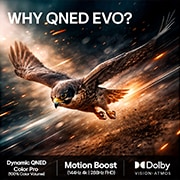 LG 65'' QNED evo MiniLED QNED82 4K AI TV - 2026, LG QNED evo AI QNED82 Mini LED har AI Hub for tilpasning, med et AI-ikon over en fjernkontroll omgitt av etiketter for Multi AI Search, AI Concierge, AI Voice ID med My Page, AI Chatbot, AI Picture Wi, 65QNED82B6B, thumbnail 9