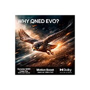 LG 75'' QNED evo MiniLED QNED81 4K AI TV - 2026, LG 75" QNED evo MiniLED QNED81 4K AI TV - 2026, 75QNED81B6A, thumbnail 9