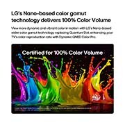 LG 75'' QNED evo MiniLED QNED81 4K AI TV - 2026, LG 75" QNED evo MiniLED QNED81 4K AI TV - 2026, 75QNED81B6A, thumbnail 11
