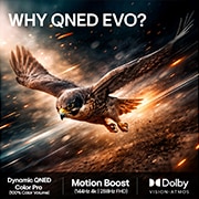 LG 85'' QNED evo MiniLED QNED82 4K AI TV - 2026, LG Shield, brukt i LG QNED evo AI QNED82 Mini LED, vises med en LG Shield-logo i midten, sikkerhetsikoner under og et merke for «Hedret i CES Innovation Awards 2026» over, som representerer beskyttels, 85QNED82B6A, thumbnail 9