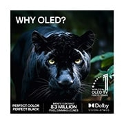 LG 48'' OLED B6E 4K AI TV - 2026, LG OLED AI B6E for ultrajevn spillopplevelse uten skjermriving viser et høyhastighets racingspill i bevegelse, med en visuell sammenligning som fremhever jevn 120Hz bevegelse med NVIDIA G-SYNC-, AMD F, OLED48B6ELC, thumbnail 9