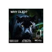 LG 77'' OLED B6E 4K AI TV - 2026, lifestyle view, OLED77B6ELC, thumbnail 9