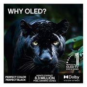 LG 83'' OLED B6E 4K AI TV - 2026, lifestyle view, OLED83B6ELB, thumbnail 9