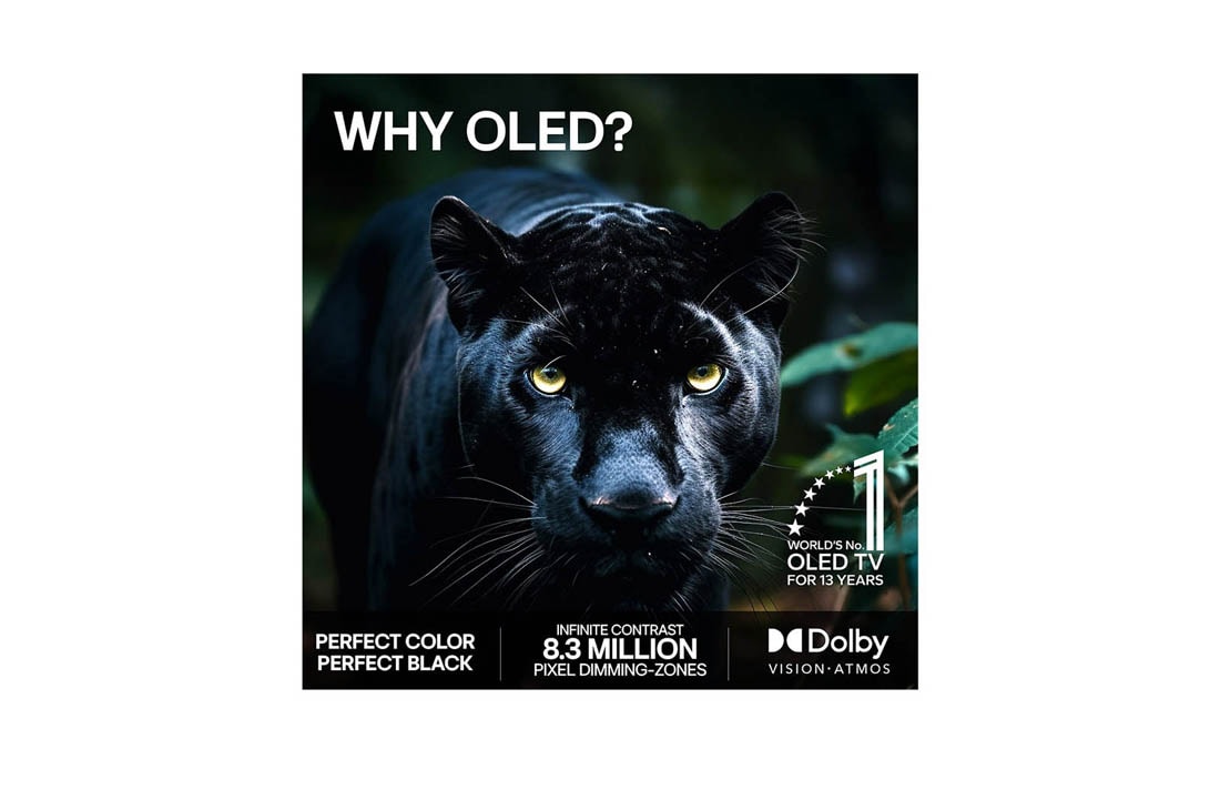 LG 83'' OLED evo Gallery G6 4K AI TV - 2026, 2026 CES Innovation Awards Honoree-merket i kategorien kunstig intelligens anerkjenner Multi AI search med Google Gemini og Microsoft Copilot., OLED83G64LW, thumbnail 9