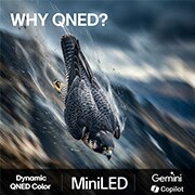 LG 50'' QNED evo MiniLED QNED8E 4K AI TV - 2026, lifestle view, 50QNED8EB3F, thumbnail 9