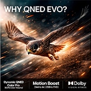 LG 65'' QNED evo MiniLED QNED87 4K AI TV - 2026, LG QNED evo AI QNED85 Mini LED har AI Hub for tilpasning, med et AI-ikon over en fjernkontroll omgitt av etiketter for Multi AI Search, AI Concierge, AI Voice ID med My Page, AI Chatbot, AI Picture Wi, 65QNED87B6A, thumbnail 9
