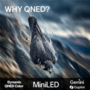 LG 65'' QNED evo MiniLED QNED8E 4K AI TV - 2026, lifestle view, 65QNED8EB3B, thumbnail 9