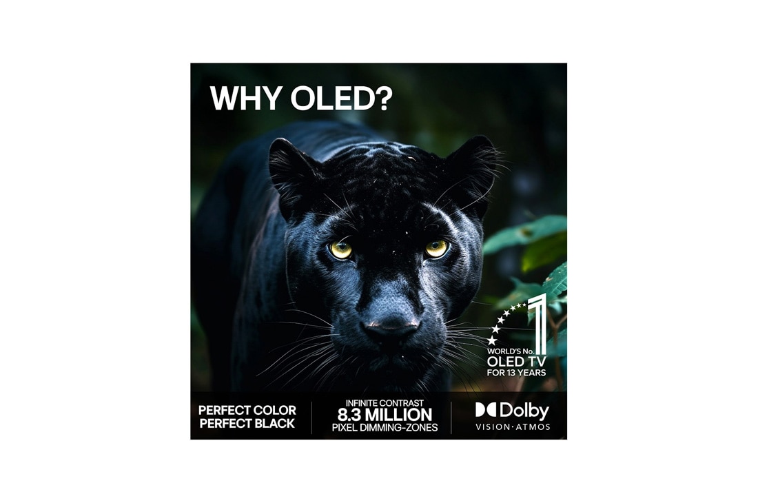 LG 65'' OLED evo Gallery G6 4K AI TV - 2026, 2026 CES Innovation Awards Honoree-merket i kategorien kunstig intelligens anerkjenner Multi AI search med Google Gemini og Microsoft Copilot., OLED65G64LW, thumbnail 9
