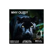 LG 65'' OLED evo Gallery G6 4K AI TV - 2026, 2026 CES Innovation Awards Honoree-merket i kategorien kunstig intelligens anerkjenner Multi AI search med Google Gemini og Microsoft Copilot., OLED65G64LW, thumbnail 9