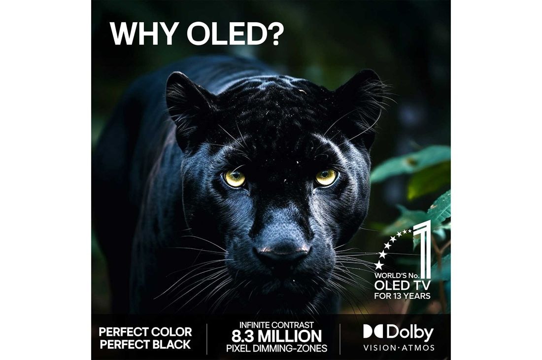 LG 65'' OLED evo Gallery G6 4K AI TV - 2026, 2026 CES Innovation Awards Honoree-merket i kategorien kunstig intelligens anerkjenner Multi AI search med Google Gemini og Microsoft Copilot., OLED65G64LW, thumbnail 9