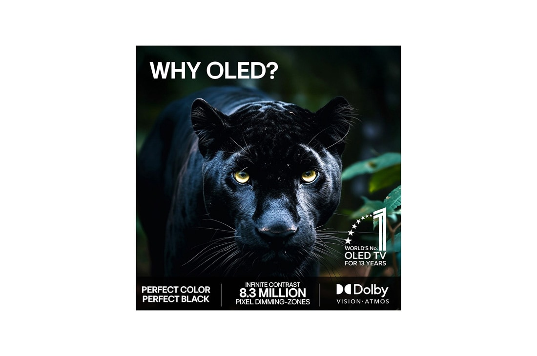 LG 77'' OLED evo Gallery G6 4K AI TV - 2026, LG OLED evo AI G6 har AI Hub for persontilpasning, med et AI-ikon over fjernkontrollen omgitt av etiketter for Multi AI Search, AI Concierge, AI Voice ID med My Page, AI Chatbot, AI Picture Wizard og , OLED77G64LW, thumbnail 9