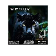 LG 83'' OLED evo Wallpaper W6 4K AI TV – 2026, LG 83" OLED evo Wallpaper W6 4K AI TV – 2026, OLED83W69LA, thumbnail 9