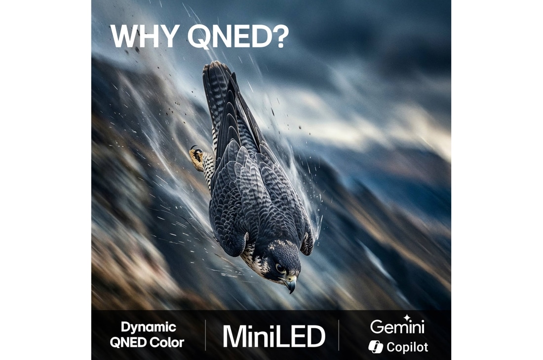 LG 65'' QNED evo MiniLED QNED80 4K AI TV - 2026, lifestle view, 65QNED80B6B, thumbnail 9