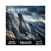 LG 65'' QNED evo MiniLED QNED80 4K AI TV - 2026, lifestle view, 65QNED80B6B, thumbnail 9