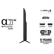 LG 50'' QNED evo MiniLED QNED81 4K AI TV - 2026, Lifestyle view, 50QNED81B6C, thumbnail 3