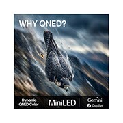 LG 50'' QNED evo MiniLED QNED80 4K AI TV - 2026, lifestle view, 50QNED80B6B, thumbnail 9