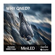 LG 55'' QNED evo MiniLED QNED80 4K AI TV - 2026, lifestle view, 55QNED80B6B, thumbnail 9