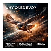 LG 65'' QNED evo MiniLED QNED86 4K AI TV - 2026, LG QNED evo AI QNED86 Mini LED har AI Hub for tilpasning, med et AI-ikon over en fjernkontroll omgitt av etiketter for Multi AI Search, AI Concierge, AI Voice ID med My Page, AI Chatbot, AI Picture Wi, 65QNED86B6B, thumbnail 9