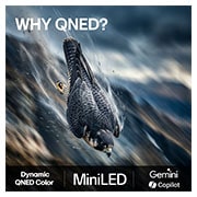 LG 75'' QNED evo MiniLED QNED80 4K AI TV - 2026, LG 75" QNED evo MiniLED QNED80 4K AI TV - 2026, 75QNED80B6A, thumbnail 9