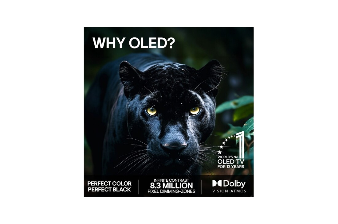 LG 48'' OLED evo C64 4K AI TV - 2026, OLED48C64LA, thumbnail 9