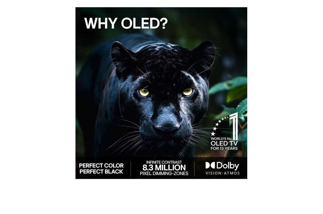 LG 48'' OLED evo C65 4K AI TV - 2026, OLED48C65LA, thumbnail 9
