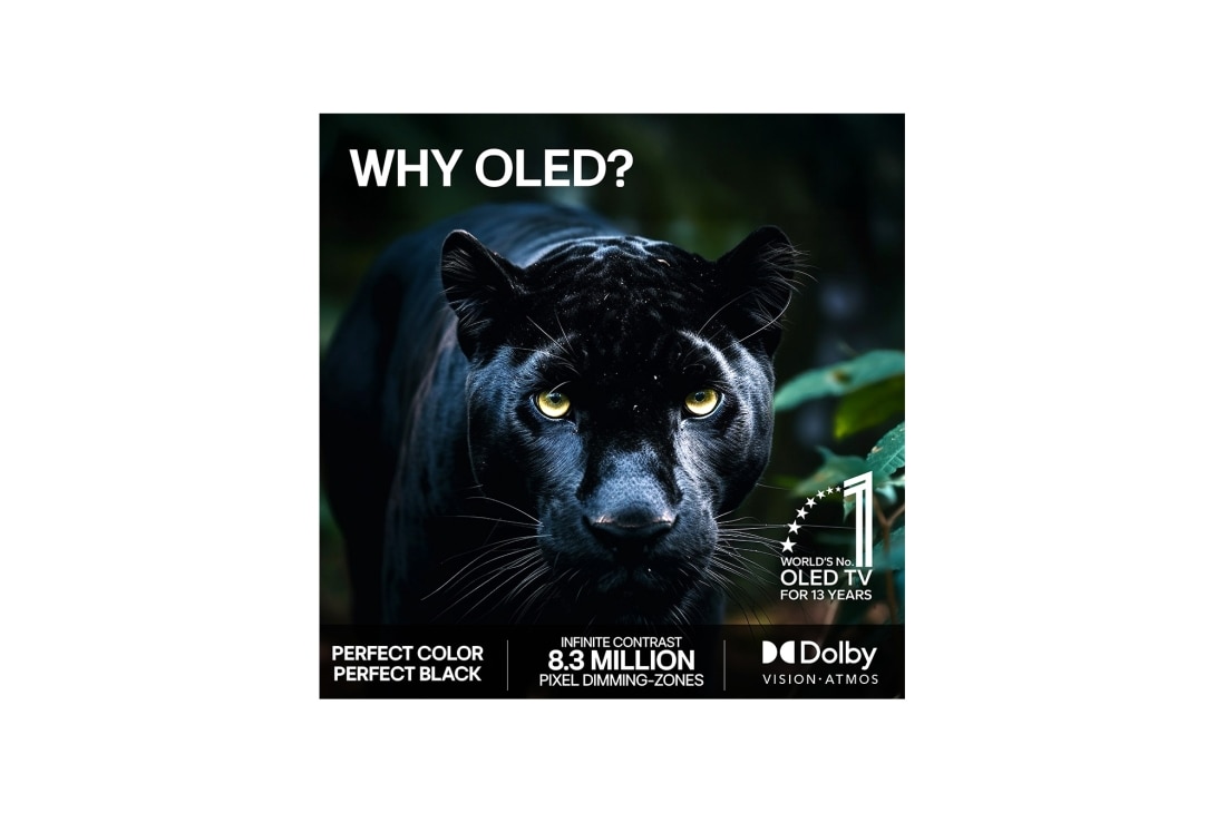 LG 55'' OLED evo C64 4K AI TV - 2026, OLED55C64LA, thumbnail 9