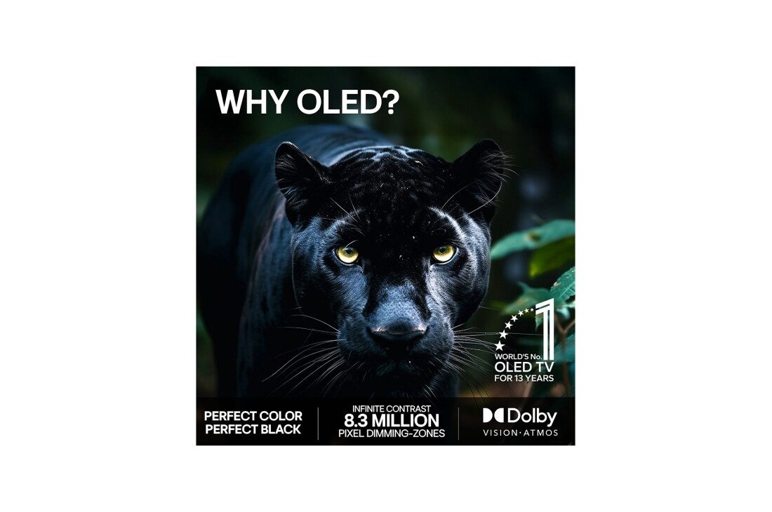 LG 65'' OLED evo C64 4K AI TV - 2026, OLED65C64LA, thumbnail 9