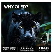 LG 65'' OLED evo C65 4K AI TV - 2026, OLED65C65LA, thumbnail 9