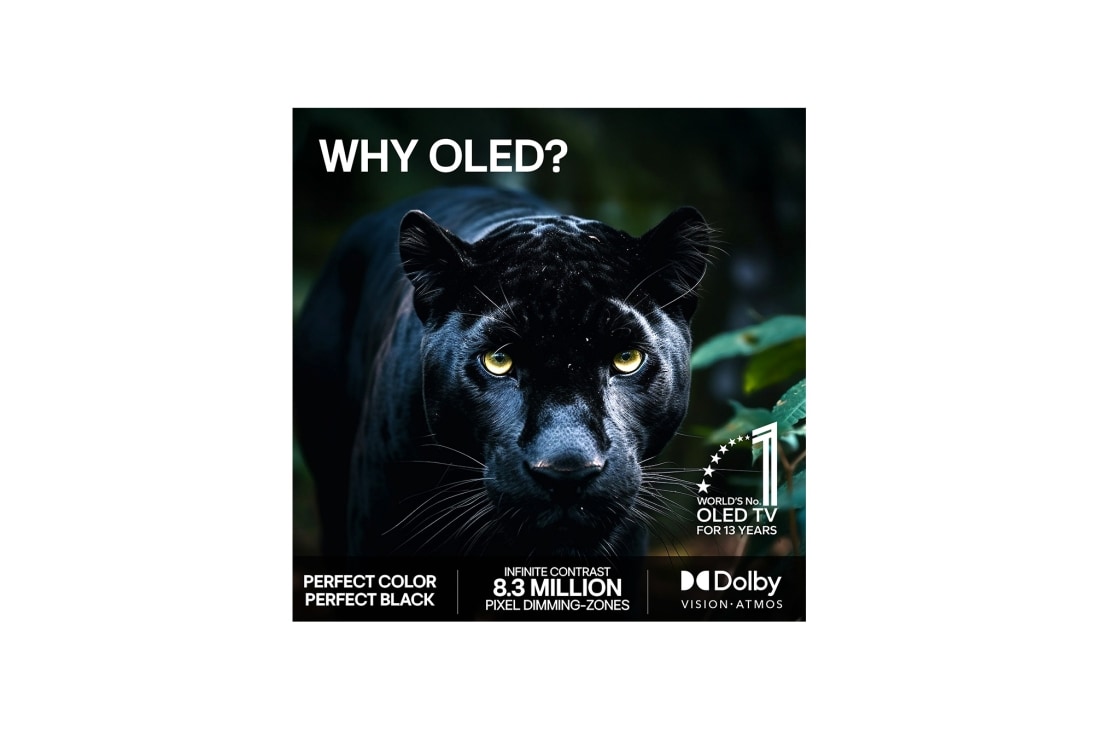LG 77'' OLED evo C64 4K AI TV - 2026, OLED77C64LA, thumbnail 9