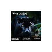 LG 83'' OLED evo C64 4K AI TV - 2026, OLED83C64LA, thumbnail 9