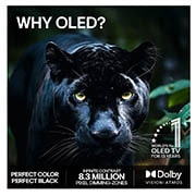 LG 83'' OLED evo C6 Pro 4K AI TV - 2026, OLED83C66LB, thumbnail 9