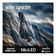 LG 43'' QNED70 4K AI TV - 2026, LG QNED AI QNED70 Mini LED har AI Hub for tilpasning, med et AI-ikon over en fjernkontroll omgitt av etiketter for Multi AI Search, AI Concierge, AI Voice ID med My Page, AI Chatbot, AI Picture Wizard, 43QNED70B6C, thumbnail 9