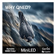 LG 50'' QNED70 4K AI TV - 2026, LG QNED AI QNED70 Mini LED har AI Hub for tilpasning, med et AI-ikon over en fjernkontroll omgitt av etiketter for Multi AI Search, AI Concierge, AI Voice ID med My Page, AI Chatbot, AI Picture Wizard, 50QNED70B6C, thumbnail 9