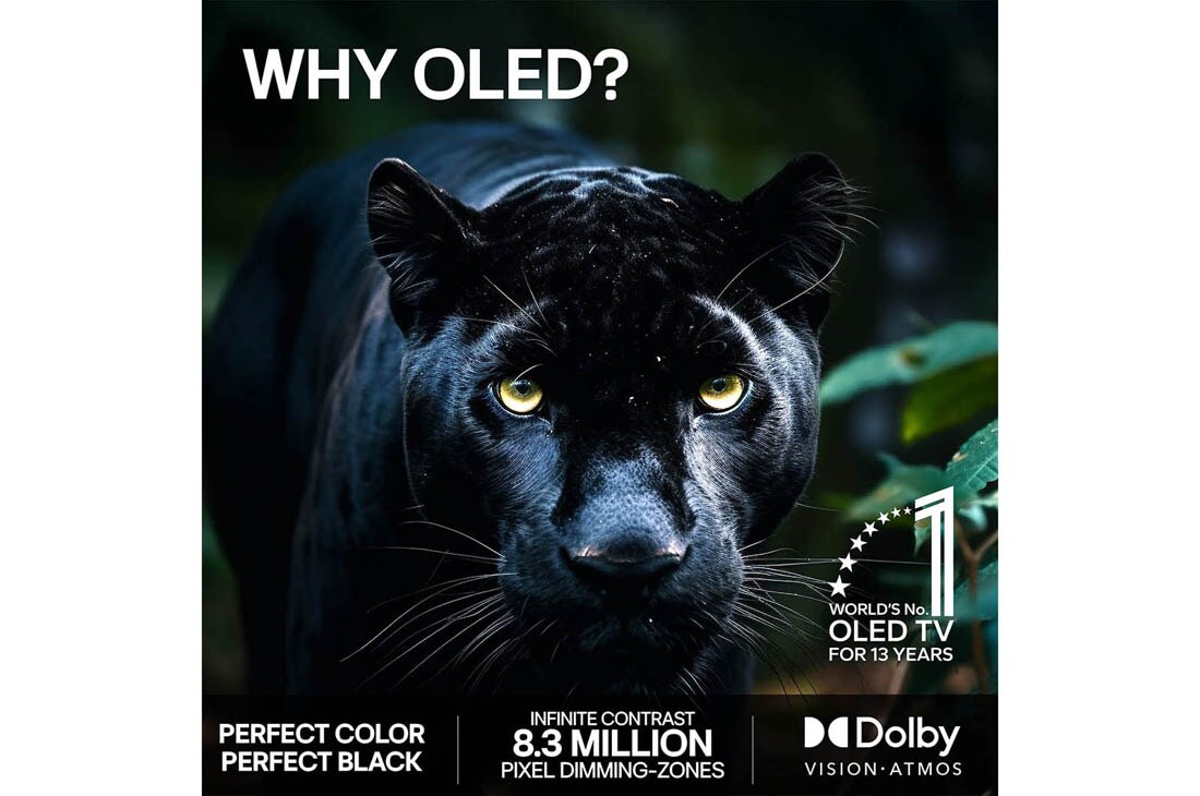 LG 48'' OLED evo Gallery G6 4K AI TV - 2026, 2026 CES Innovation Awards Honoree-merket i kategorien kunstig intelligens anerkjenner Multi AI search med Google Gemini og Microsoft Copilot., OLED48G66LS, thumbnail 9