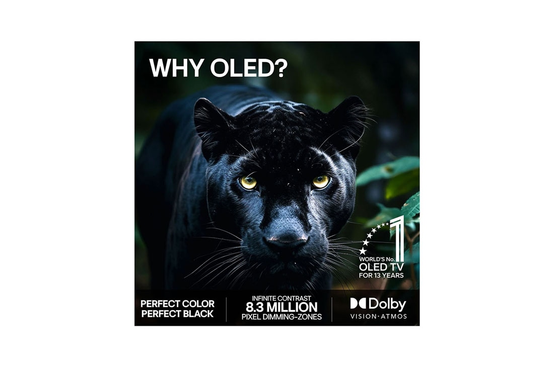 LG 65'' OLED evo Gallery G6 4K AI TV - 2026, 2026 CES Innovation Awards Honoree-merket i kategorien kunstig intelligens anerkjenner Multi AI search med Google Gemini og Microsoft Copilot., OLED65G66LS, thumbnail 9