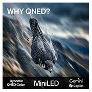 LG 85'' QNED evo MiniLED QNED80 4K AI TV - 2026, LG 85" QNED evo MiniLED QNED80 4K AI TV - 2026, 85QNED80B6A, thumbnail 9