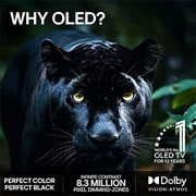 LG 97'' OLED evo Gallery G6 4K AI TV - 2026, 2026 CES Innovation Awards Honoree-merket i kategorien kunstig intelligens anerkjenner Multi AI search med Google Gemini og Microsoft Copilot., OLED97G64LW, thumbnail 9