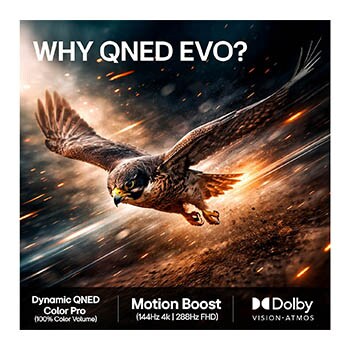 LG 50'' QNED evo MiniLED QNED86 4K AI TV - 2026, LG QNED evo AI QNED86 Mini LED har AI Hub for tilpasning, med et AI-ikon over en fjernkontroll omgitt av etiketter for Multi AI Search, AI Concierge, AI Voice ID med My Page, AI Chatbot, AI Picture Wi, 50QNED86B6B, thumbnail 9