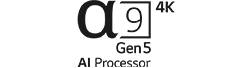 a9 gen5 4K AI Processor logo