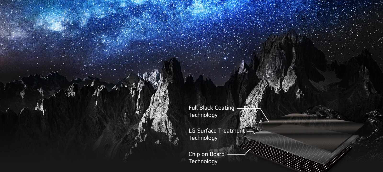 A face of a white tiger for emphasizing the black colour