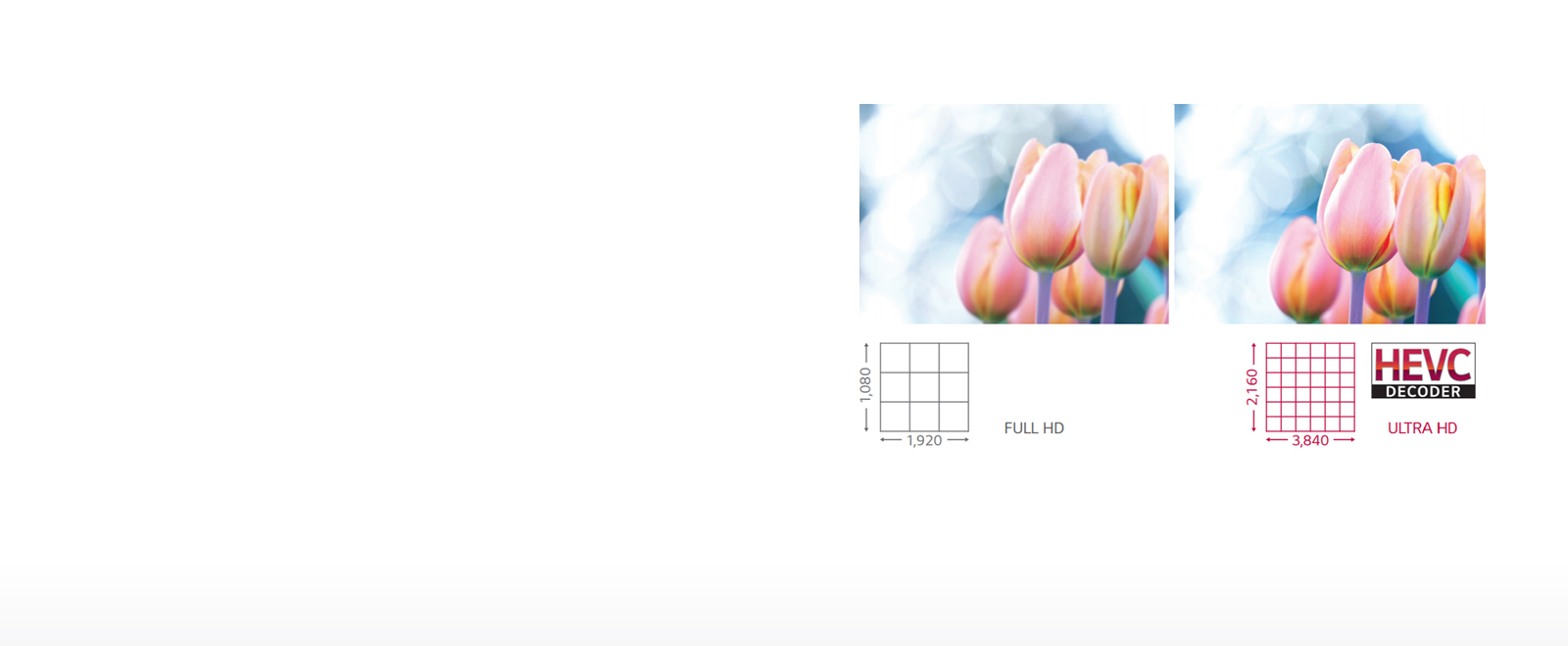 Perfect Picture Quality and Color<br>1