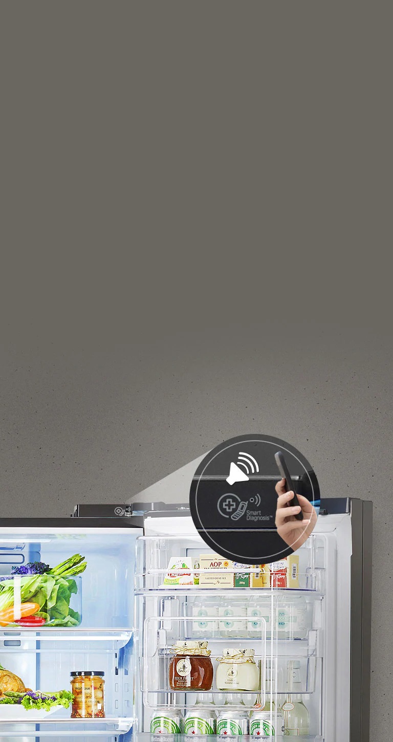 LG GL-S292RDSX Smart Diagnosis