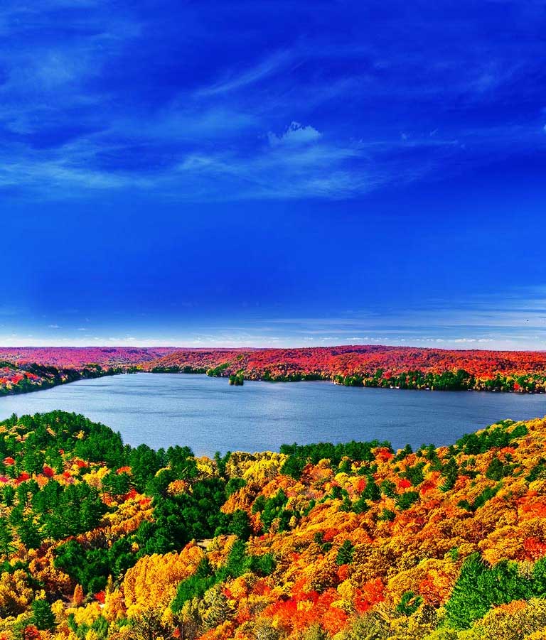 Quad Core Processor, The Origin of Lifelike Images