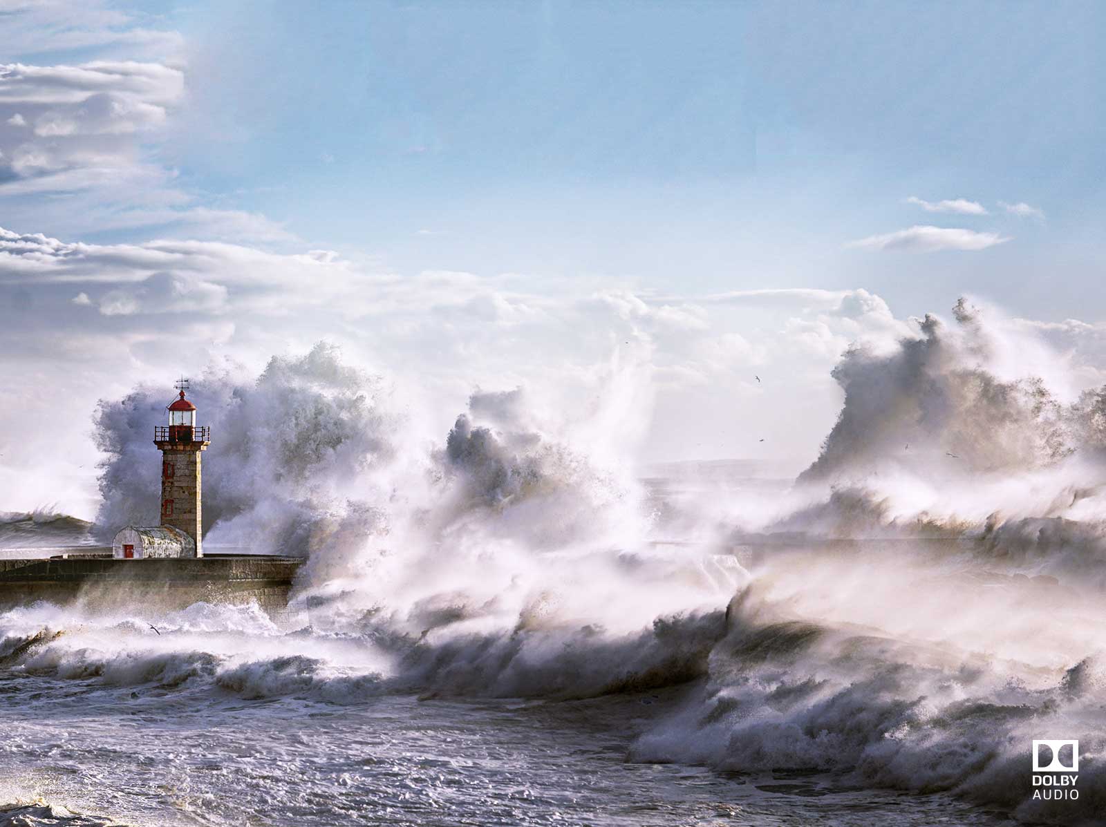 Dolby Audio™<br>A Movie-like Sound Experience