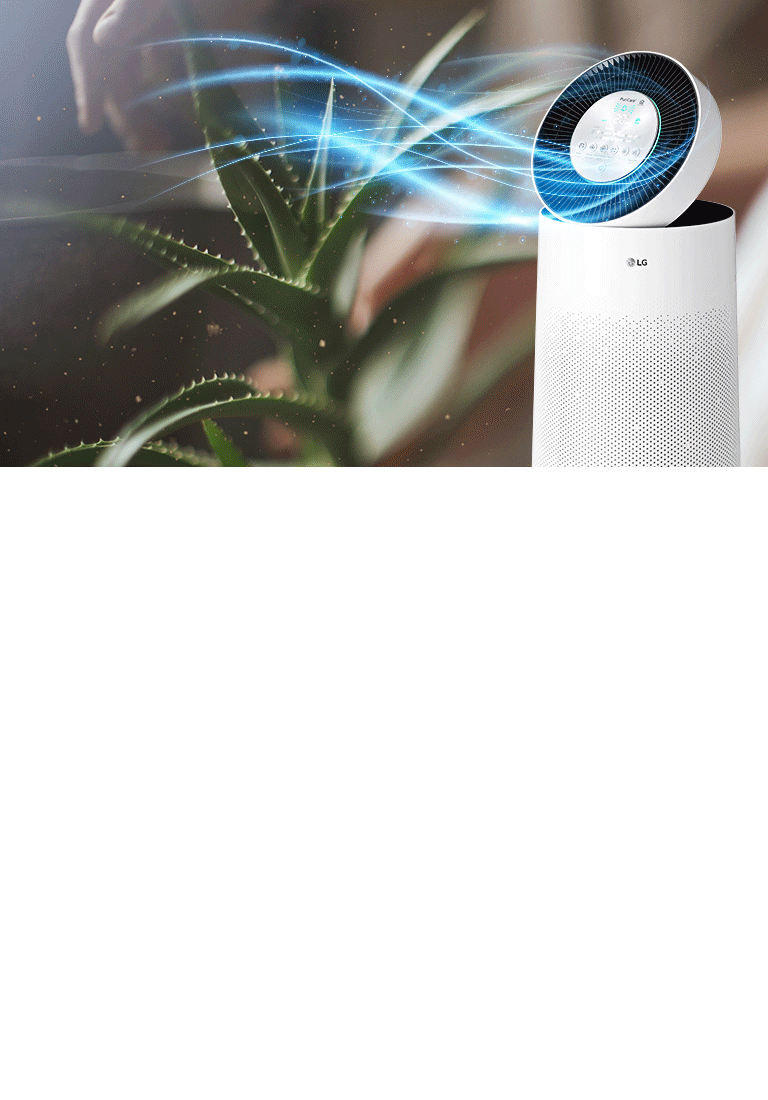 Fresh Air All Over Your Home