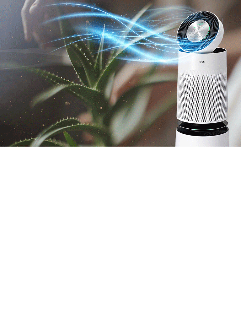 Fresh Air All Over Your Home
